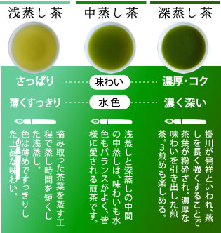 日本茶の種類　浅蒸し・中蒸し・深蒸し