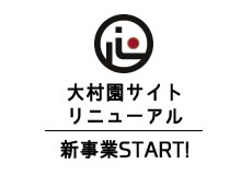 渋皮栗のタルト